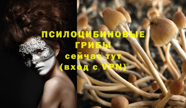 MDMA Алексин