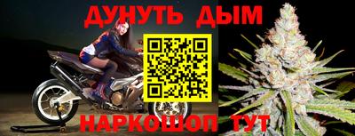 Альфа ПВП Новокубанск