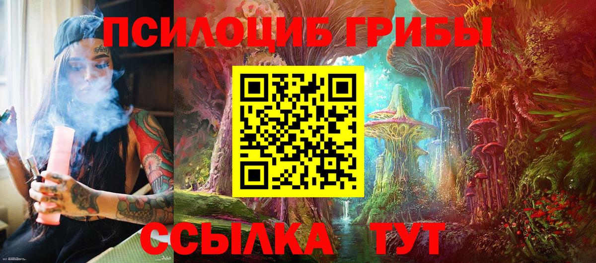 Псилоцибиновые грибы GOLDEN TEACHER Туймазы