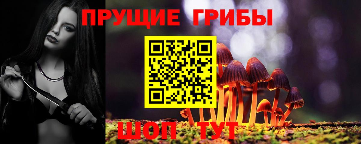 Туймазы  Галлюциногенные грибы Magic Shrooms  Вход с VPN  Галлюциногенные грибы прущие грибы 